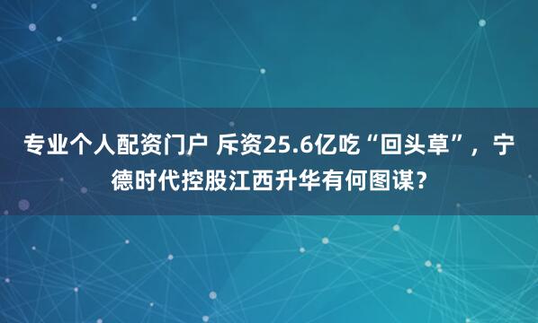 专业个人配资门户 斥资25.6亿吃“回头草”，宁德时代控股江西升华有何图谋？