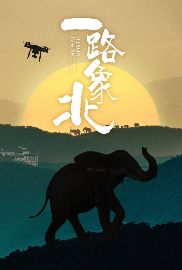 配资实盘证券配资门户 不只讲大象！《象行记》用奥斯卡级镜头，把中国生态文明密码拍成治愈系年度大片
